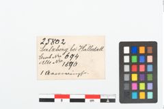 Etikett zu Bronzebuckelarmreif (NHMW-PRAE-025802)